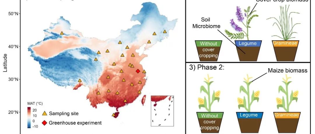 南京农业大学土壤生态学团队《New Phytologist》最新成果！