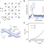 新加坡国立和山西师范大学 Nature Nano：无线能量采集新突破，助力无电池物联网！