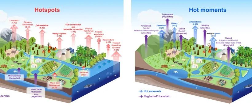 中科院生态环境中心Nat. Rev. Earth Env.综述：氧化亚氮的来源、机制与减排