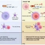 Mucosal Immunology  | 清华大学吴励教授团队发现TRIM33作为过敏性哮喘"刹车器"的关键机制