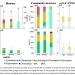 广工水生态团队Freshwater Biology：从数量驱动到质量约束：揭示湖泊食物网结构演化的新机制