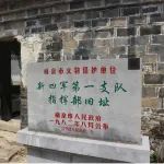 马振犊：新四军在南京的抗战