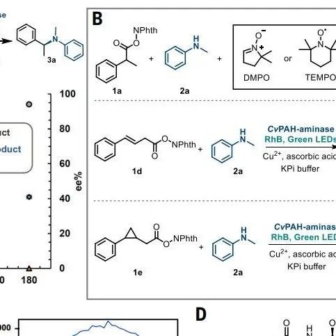 浙江工业大学最新Science