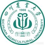 四川农业大学“80后”副校长、“优青”团队在植物学顶级期刊（IF=12.1）发表研究成果，为高产玉米培育打开新天地