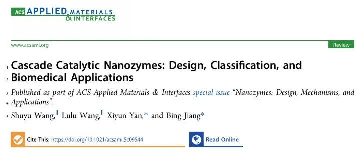 ACS Appl. Mater. Interfaces | 级联催化纳米酶：结构设计、活性调控与应用展望