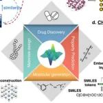 分子表示学习：跨领域基础与未来前沿
