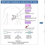 Cancer Res | 南京医科大学颜财旺等团队通过基因组分析揭示肠化生和胃癌的进化特征