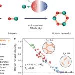 浙江大学范修林团队：锂金属电解液 | Nature Energy