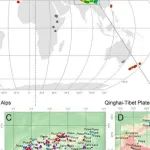 PNAS | 北京大学沈泽昊揭示了全球树线形成的关键是其位置的热限制和分类群特定变化的湿度