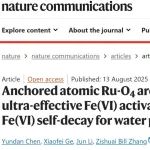 北京大学李振山、张子帅团队Nat. Commun.：提出钌单原子材料高效活化Fe(VI)深度净化微污染物的新策略