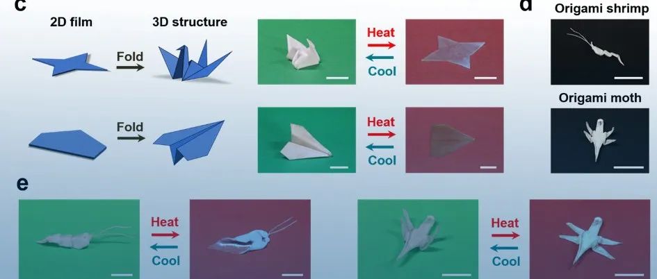 浙江大学郑宁研究员团队 Nat. Commun.: “变形即走”液晶弹性体驱动器制备方法