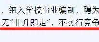 985明确：不搞“非升即走”