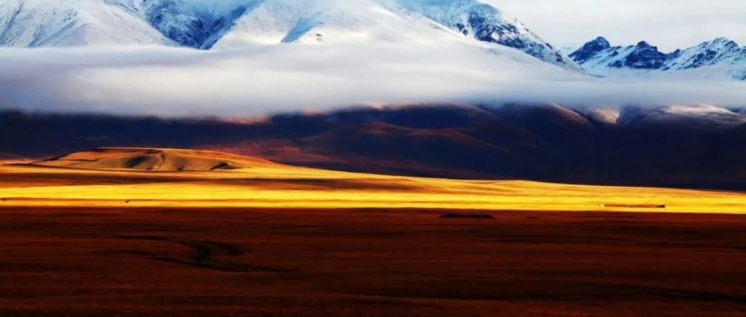 中国科学院大学王艳芬团队与中国科学院微生物研究所东秀珠团队Nature Geoscience最新研究成果：木质素厌氧产甲烷新途径