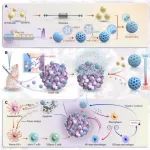 Biomaterials：微球-囊泡杂化系统可通过增强先天免疫和适应性免疫反应实现肿瘤治疗