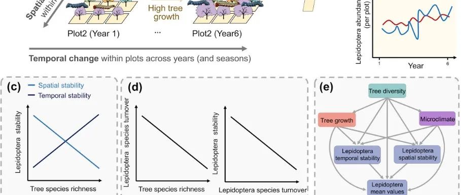 成都生物所王斌研究团队在生态学顶刊《Ecological Monographs》发文！