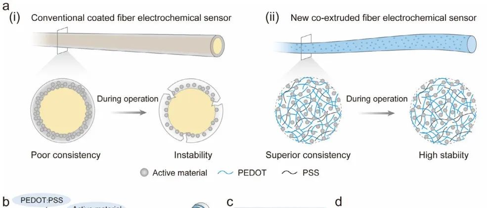 复旦彭慧胜/孙雪梅团队 AFM：共挤出策略 → 实现柔性纤维电化学传感器的连续化制备
