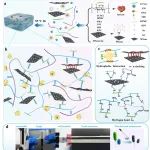 山东大学Carbohydrate Polymers&#160;：基于羟丙基甲基纤维素的仿生多功能导电凝胶的柔性传感器