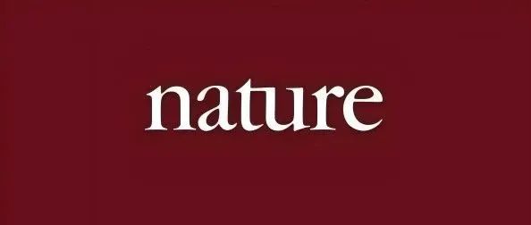 重磅！苏州大学《Nature Materials》