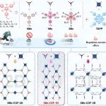 【Angew. Chem.】四川大学马利建课题组：基于排斥-扭转效应的COFs全维度调控