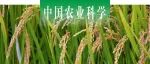 中国农业科学 | 沈阳农业大学汪景宽课题组揭示不同植稻年限土壤酶活性及其化学计量特征