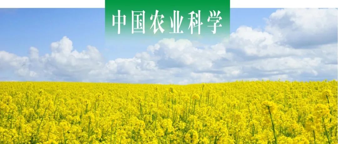 中国农业科学 | “稻油轮作周年养分管理”专题