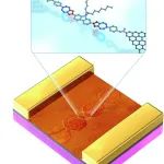 北京大学/南开大学郭雪峰，单分子科学 | Nature Communications