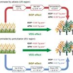 National Science Review天津大学傅平青教授团队揭示森林的生物地球物理效应对其气溶胶辐射效应的“双刃剑”作用