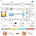 苏大李刚、余嘉/牛津大学陈凯丽 Biomacromolecules: 牛角瓜纤维/蚕丝蛋白复合多功能水凝胶敷料