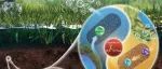 东北农业大学刘竹青、杨帆、程魁等ES&T封面：人工腐殖酸调控下稻田土壤甲烷生成与碳固定的耦合机制——微生物群落与代谢途径解析