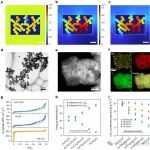 河北大学：叶金花，光催化 | Nature Energy