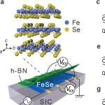 清华大学张定/薛其坤团队：高温超导铁磁体 | Nature Communications