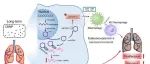广州医科大学刘雯团队J. Nanobiotechnol.：m6A修饰circRNA揭示炭黑纳米颗粒致肺癌新机制