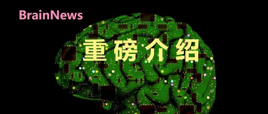 5.0T人脑扩散影像数据库建成，助力医学影像AI全链条研究
