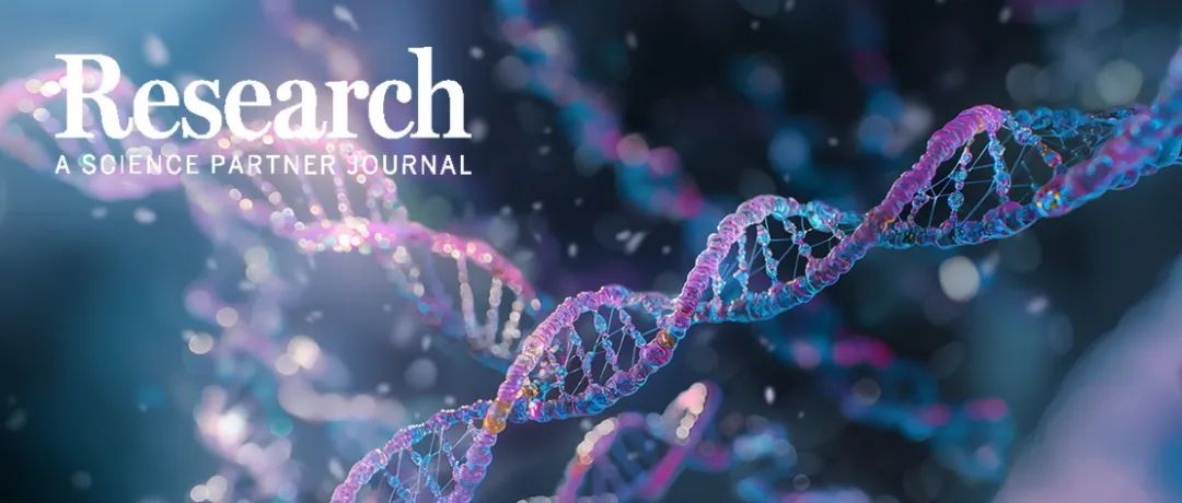 Research | 结直肠癌治疗新靶点！—中山大学李孟鸿/孟祥祺团队发现新型lncRNA ESSENCE