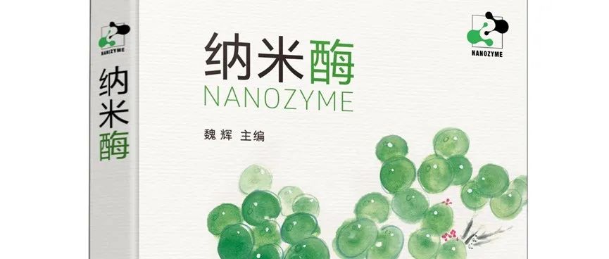 《纳米酶》共读之旅 | 第3章·类MMO纳米酶·会当凌绝顶