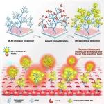 Biosens Bioelectron | 华中科技大学刘钢通过非辐射能量转移增强超表面等离激元共振实现新冠病毒超灵敏检测