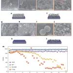 可控锂生长！加州大学刘平，重磅Nature Chemistry！