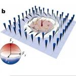 量子流体-斯格明子/拓扑电子材料 | Nature Physics