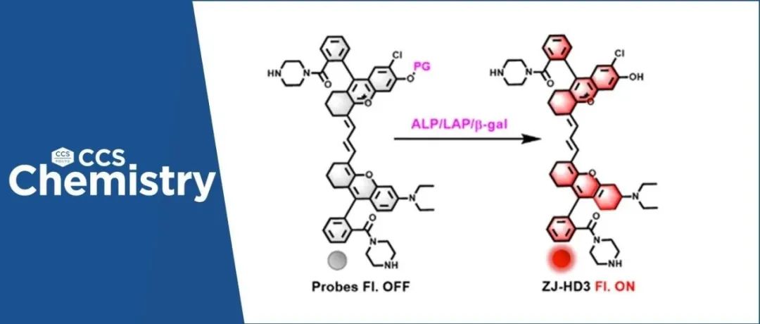 【CCS Chem.】湖南大学袁林、任天兵课题组：开发酶激活型近红外二区荧光探针用于活体疾病诊断