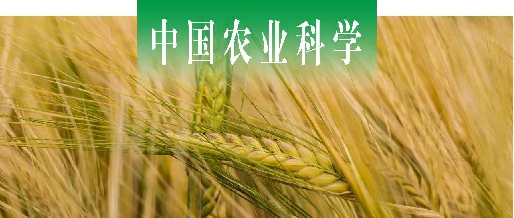 中国农业科学 | 河北省农林科学院石家庄果树所杨雷课题组研究长期施肥小麦根际与非根际土壤的磷组分及其有效性