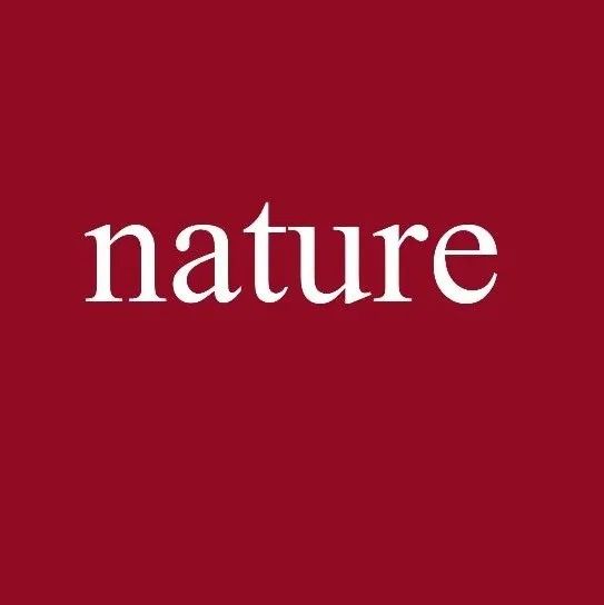 石墨烯之父，Nature！