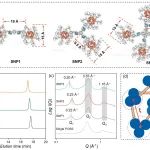 华工殷盼超/广工尹家福团队 Nano Lett.：软纳米粒子多时空动力学解析