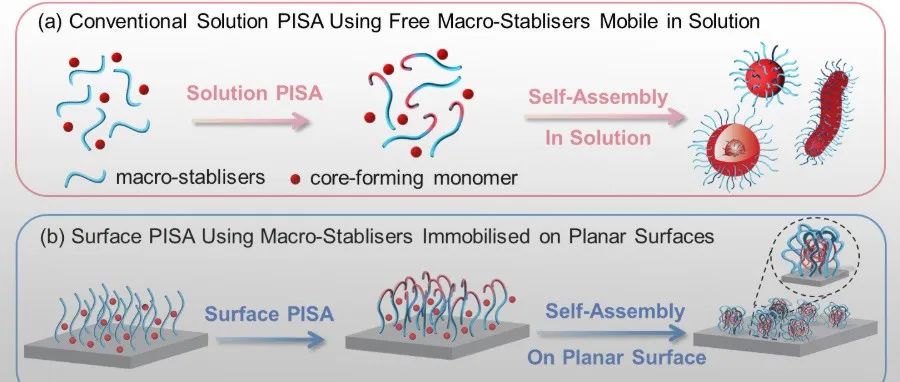 昆士兰大学/吉林大学合作 Angew：表面 PISA - 界面调控形貌的新策略及其抗污抗菌应用
