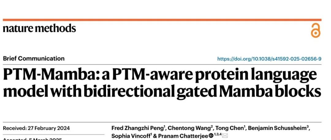 文献分享|PTM-Mamba：一种具有双向门控 Mamba 模块的翻译后修饰感知蛋白质语言模型