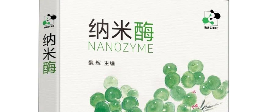 《纳米酶》共读之旅 | 第1章·情人眼里出西施