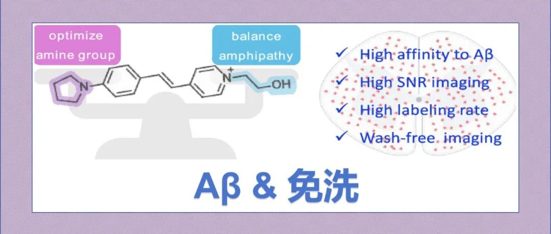 文献分享|基于氨基取代基优化和两亲分子工程策略的高性能免洗Aβ探针构建