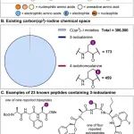 J. Am. Chem. Soc. | 开辟多肽修饰新途径：将半胱氨酸侧链编辑为烷基卤化物