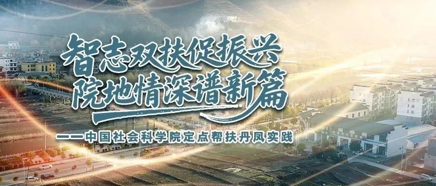 智志双扶促振兴 院地情深谱新篇——中国社会科学院定点帮扶丹凤实践