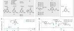 Nature Chemical Biology | SNAP-tag2：更快更亮的蛋白荧光标记利器