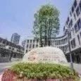 上海交通大学医学院附属第一人民医院临床研究院广邀全球英才依托申报“海外优青”（新增批次）